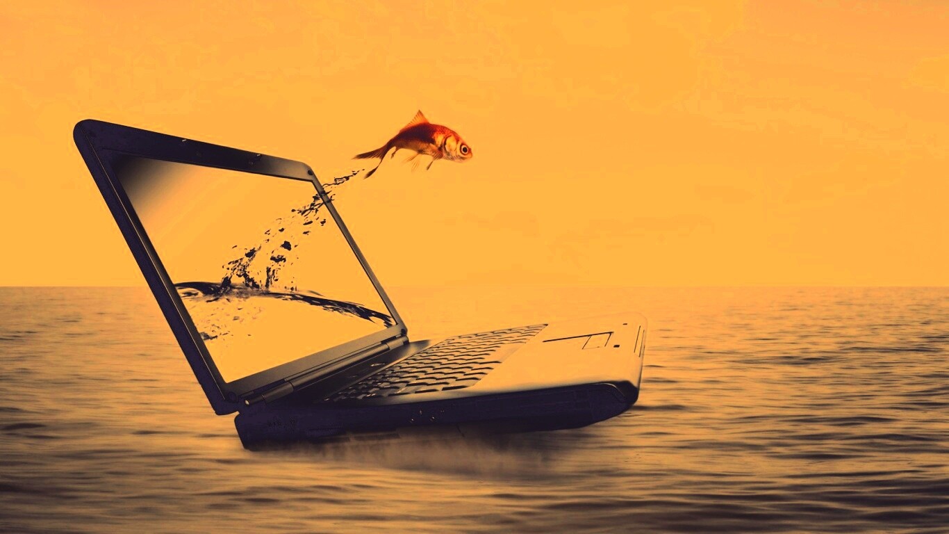 Золотая рыбка обои