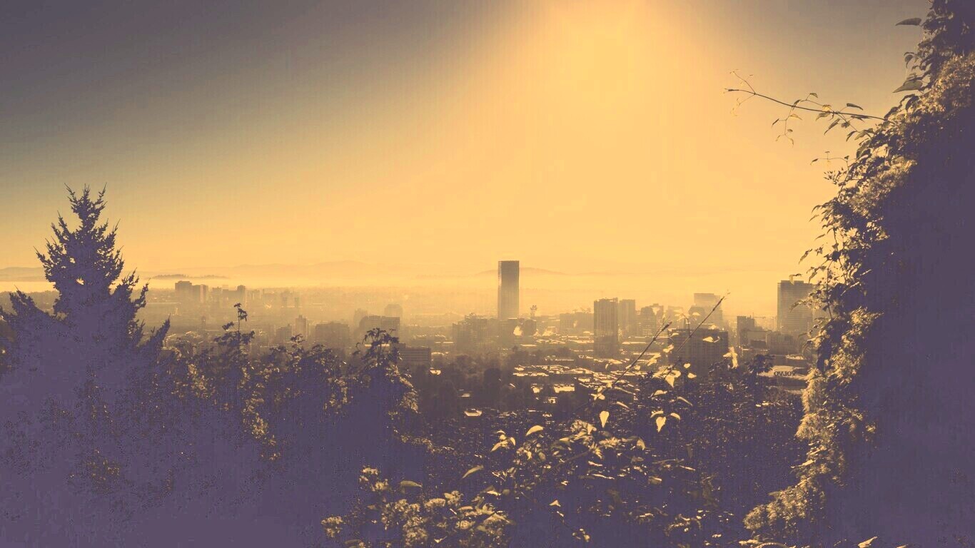 Утро в раю обои