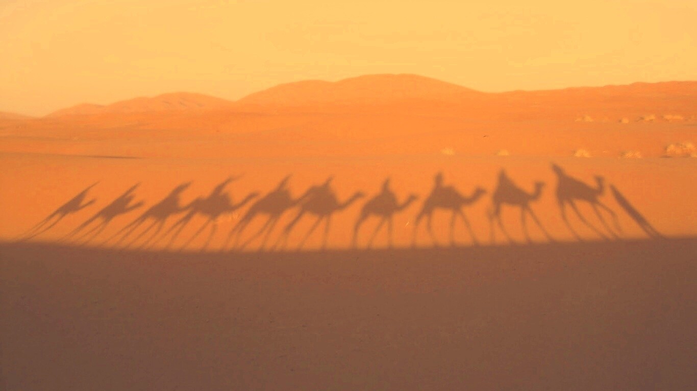 Караван обои