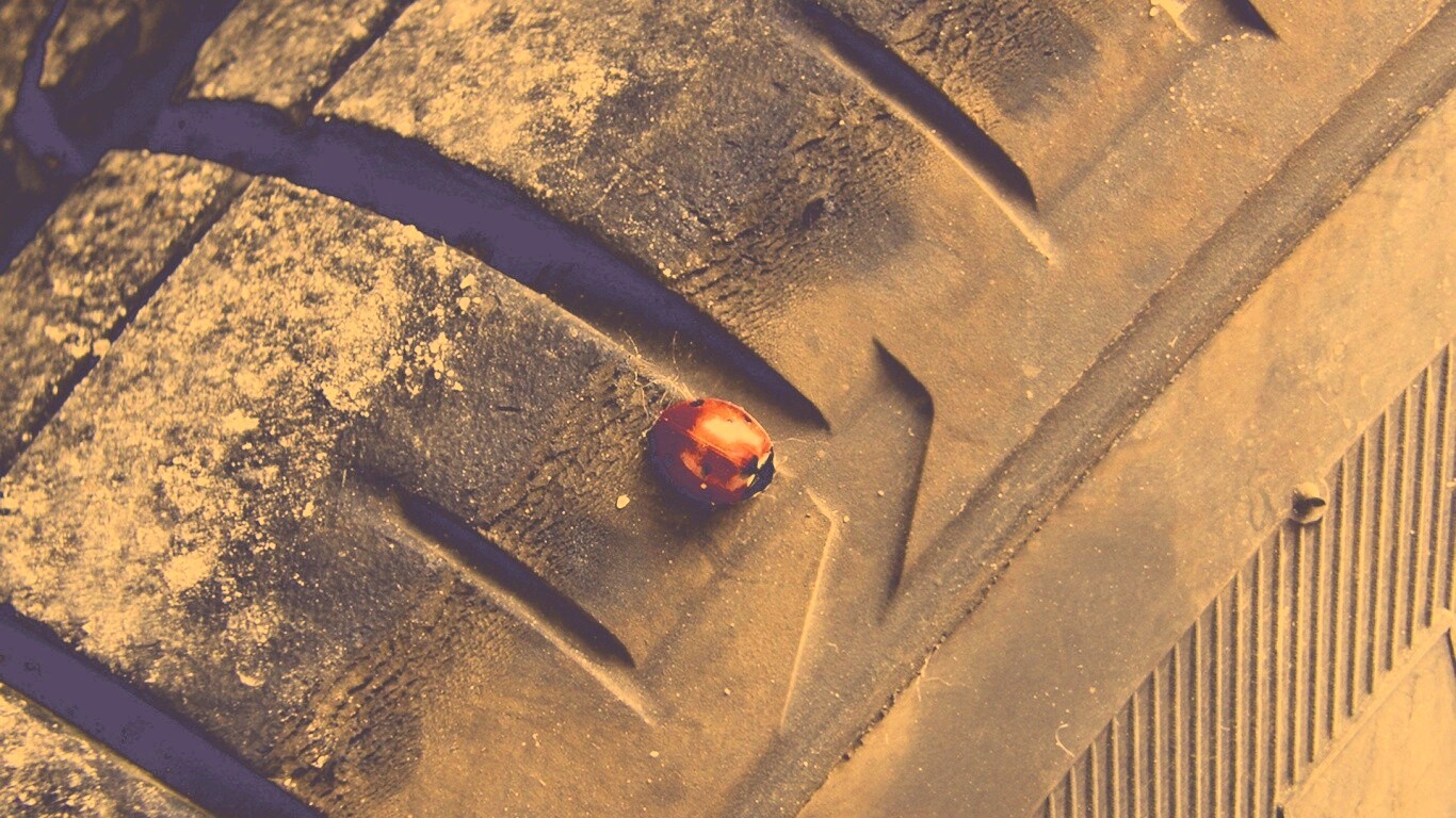 Божья коровка на автомобильной покрышке обои