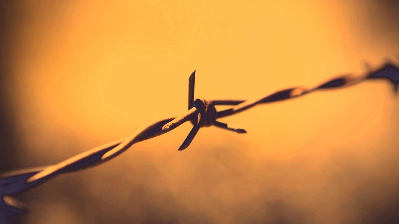 Фото колючей проволоки обои