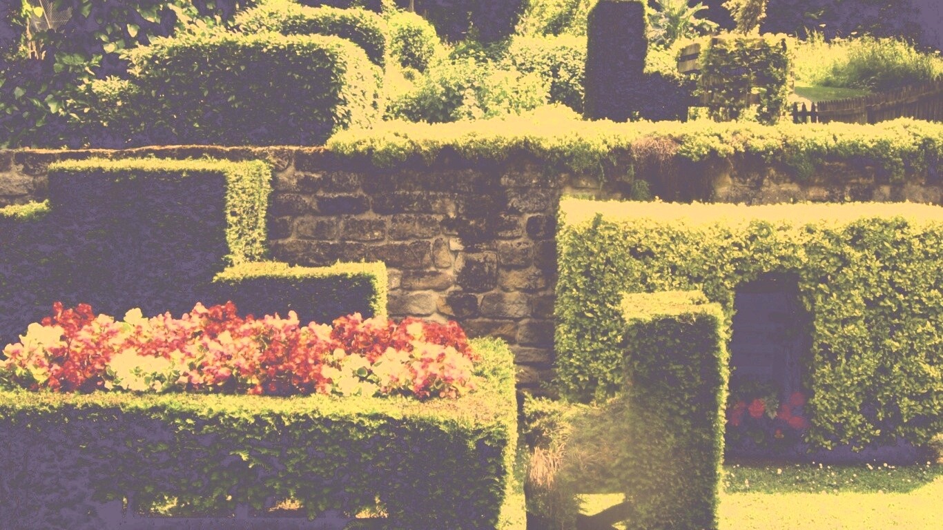 Декоративный сад обои