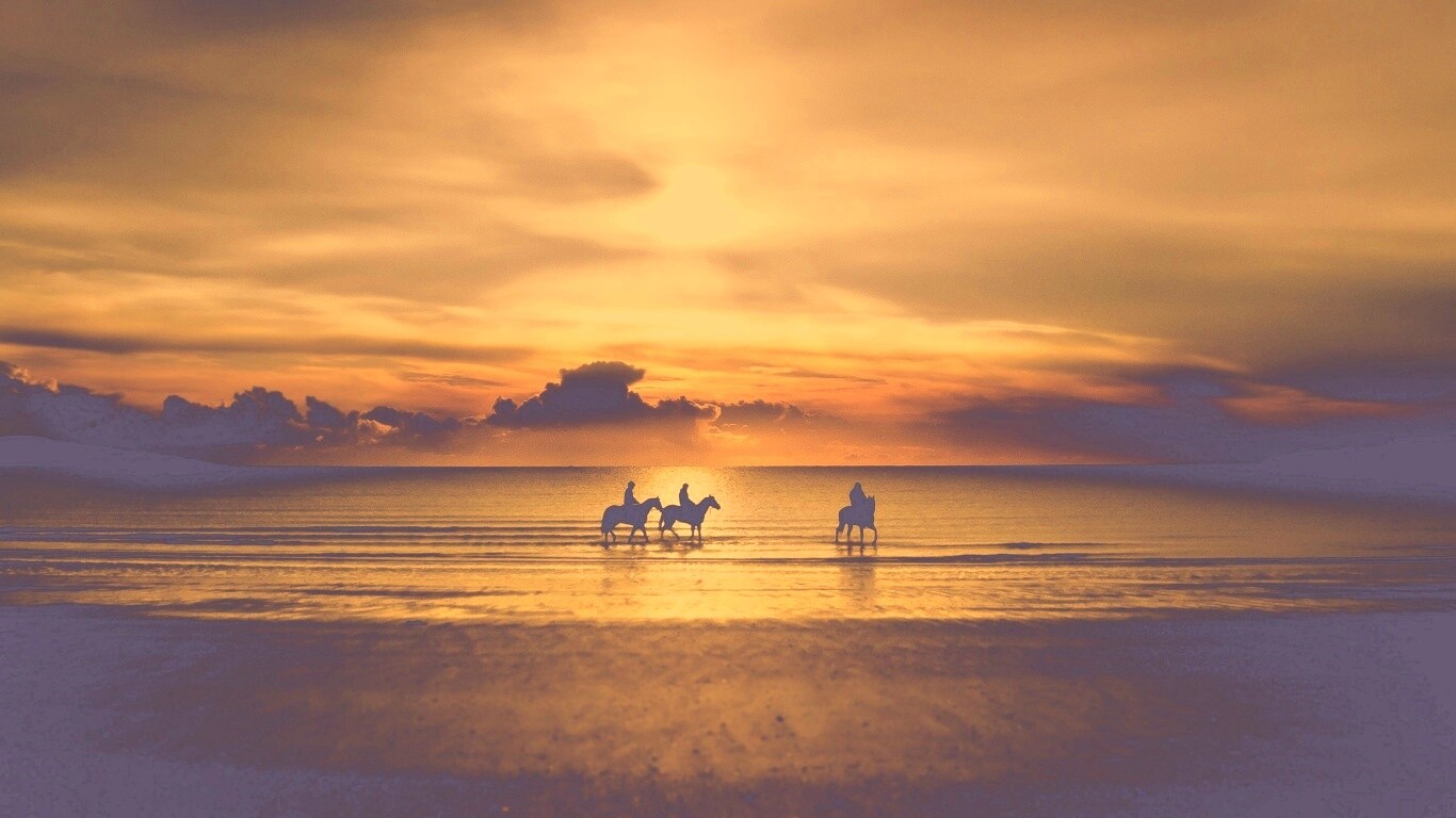 Наездники на закате обои