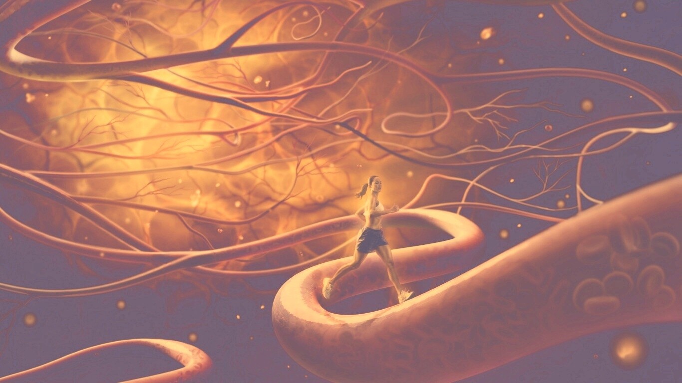 Бег крови обои