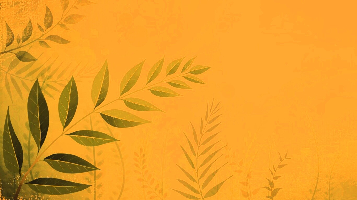 Веточка молодых листьев обои