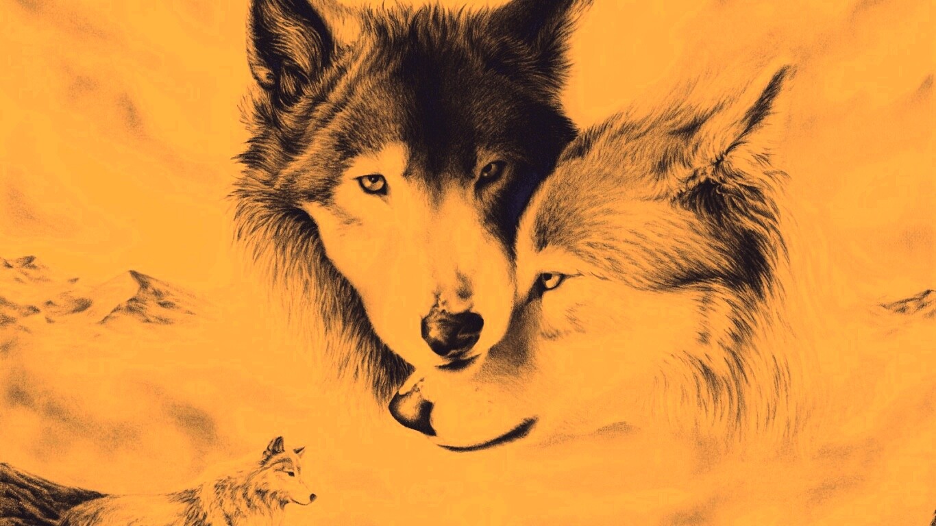 Волки обои