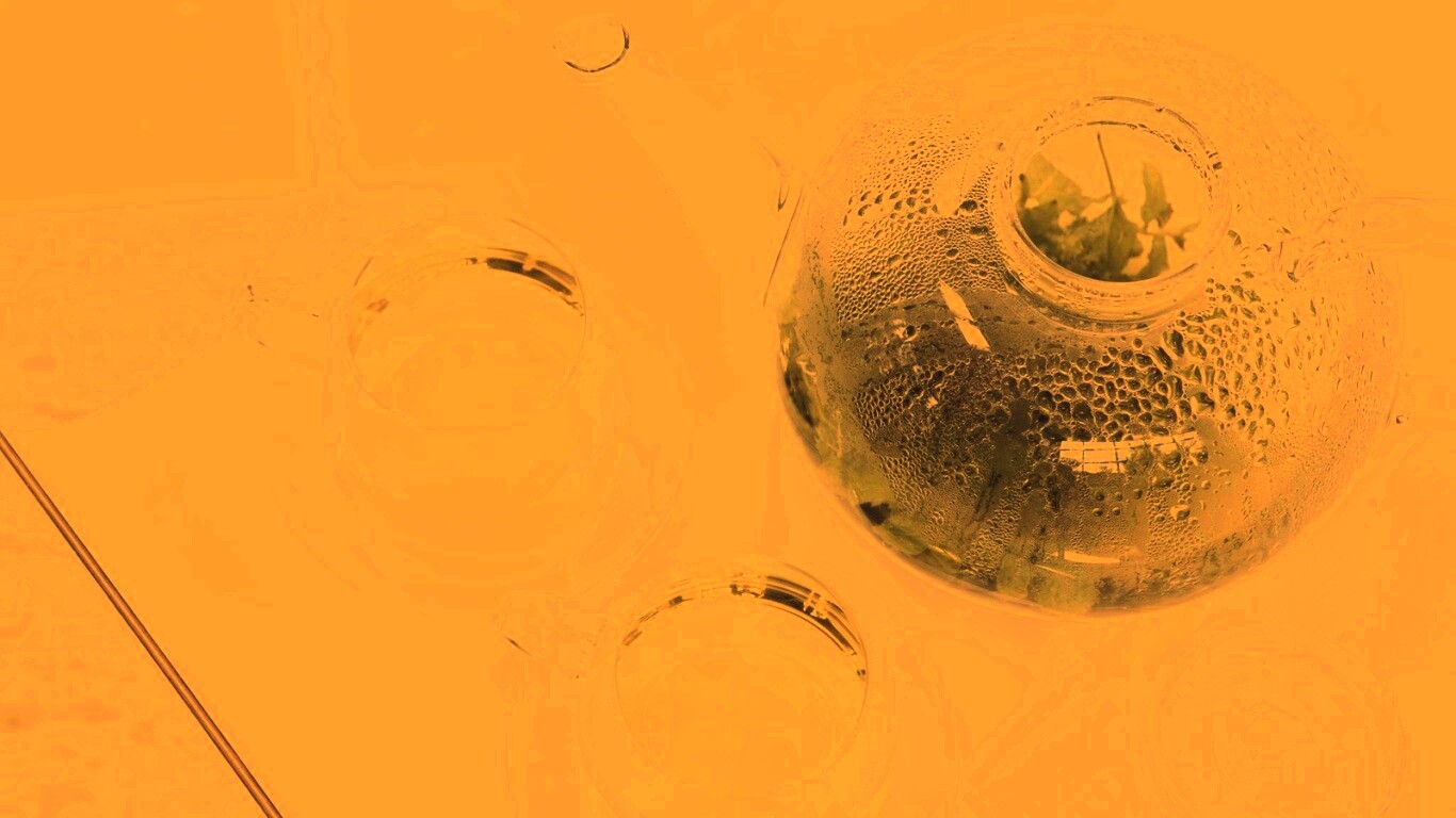 Зеленый чай обои