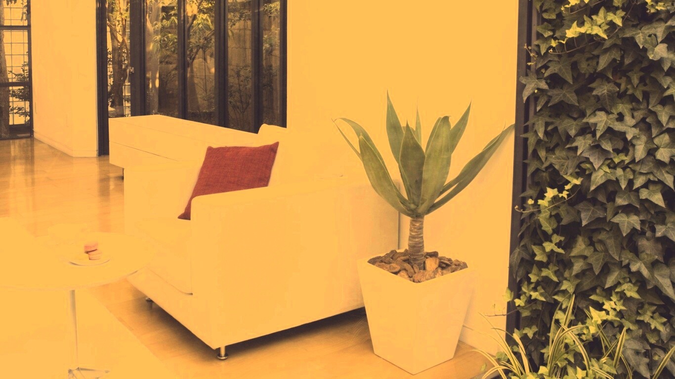 Белое кресло обои