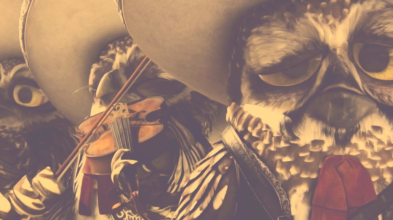 Совы-мариачи из Ранго обои