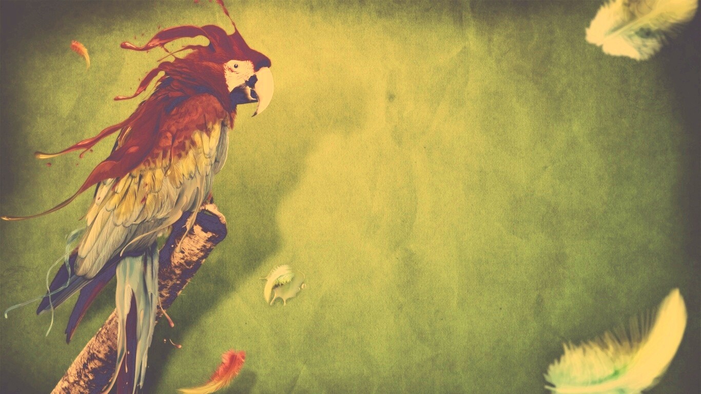 Попугай на ветке обои