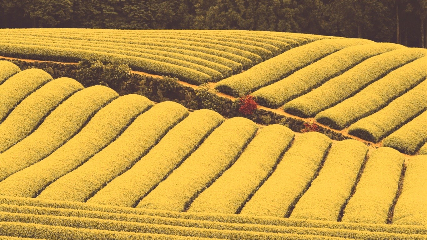 Красивые гряды обои