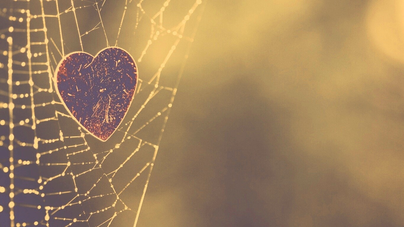 Запутавшаяся любовь.. обои