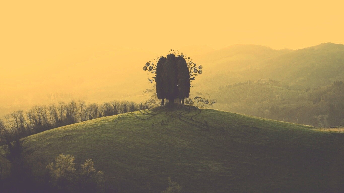 Деревья на холме обои