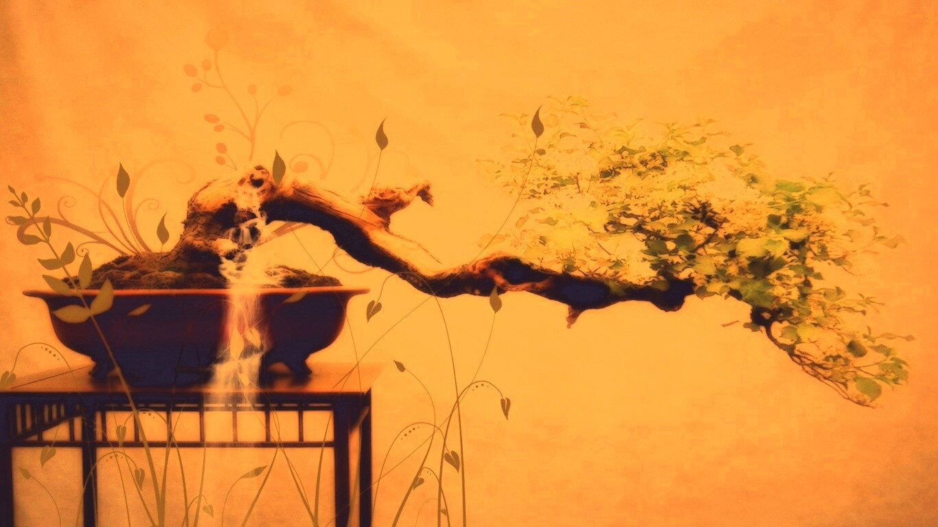 Карликовое дерево обои