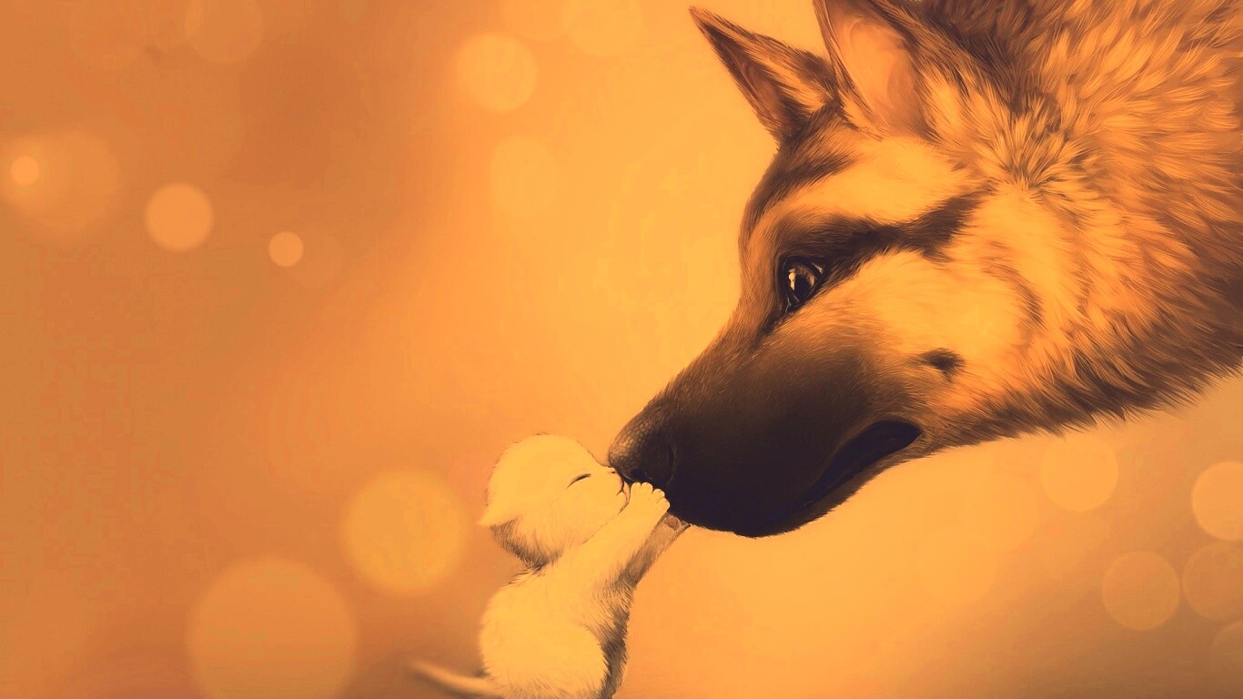 Овчарка и котенок обои