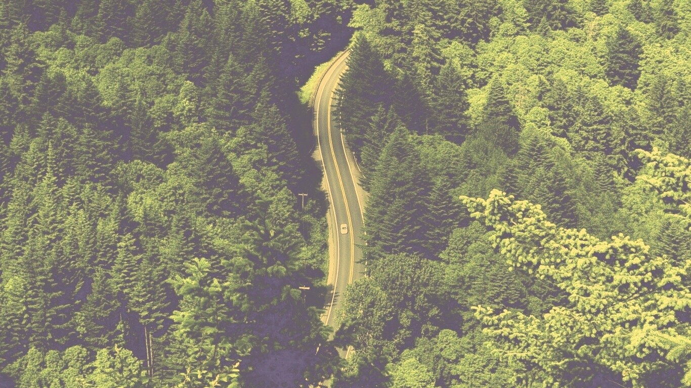 Лесная трасса обои