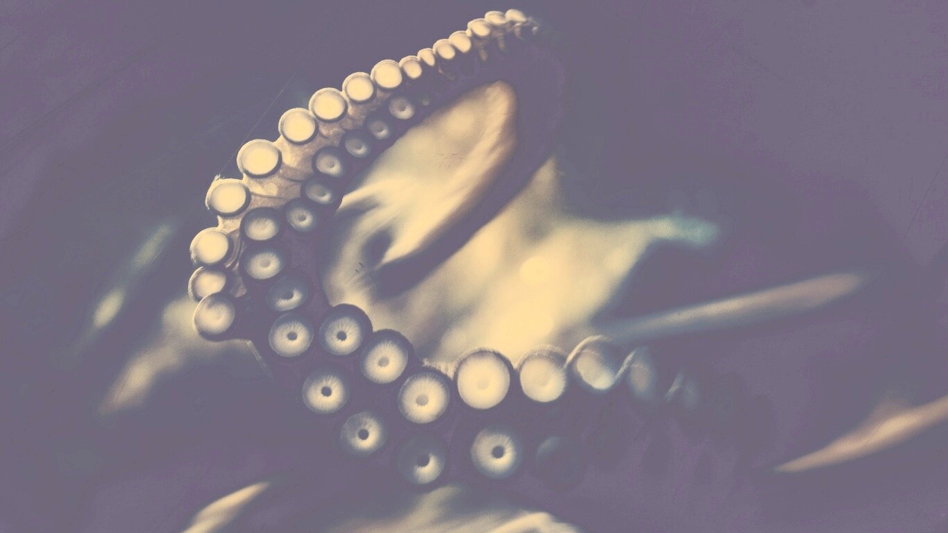 Щупальце обои