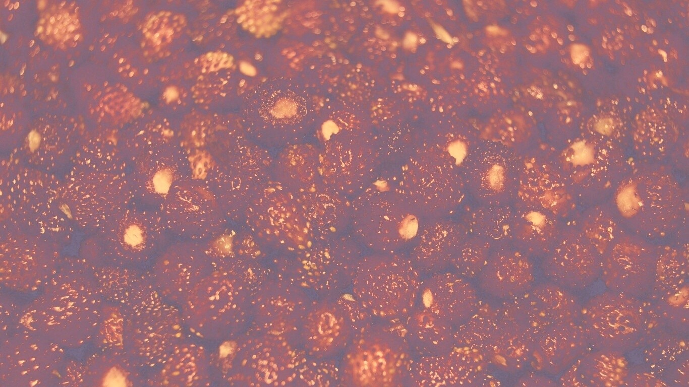 Земляника обои