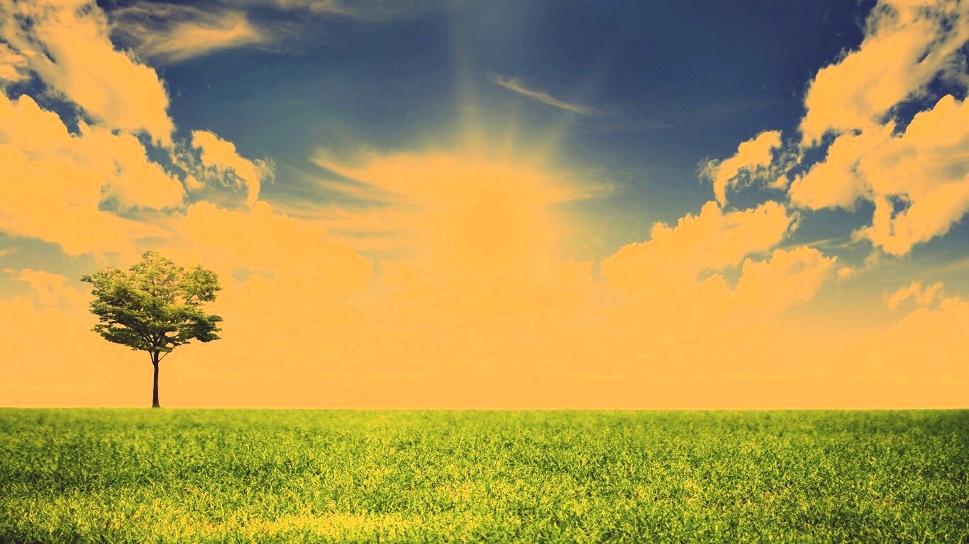 Один в целом мире обои