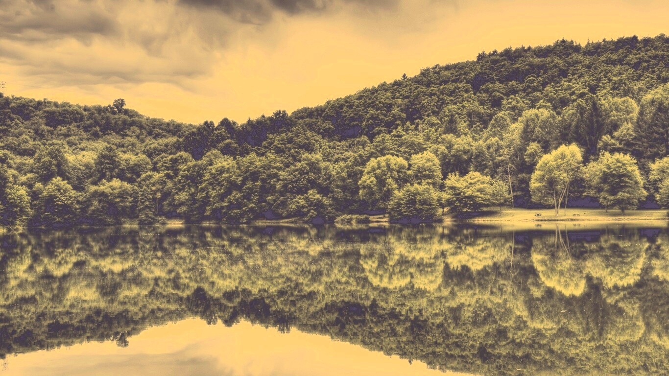 Лесной берег обои