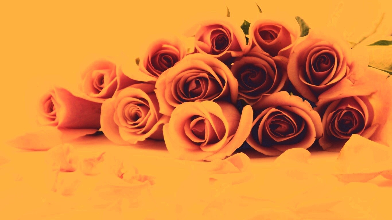 Букет роз обои