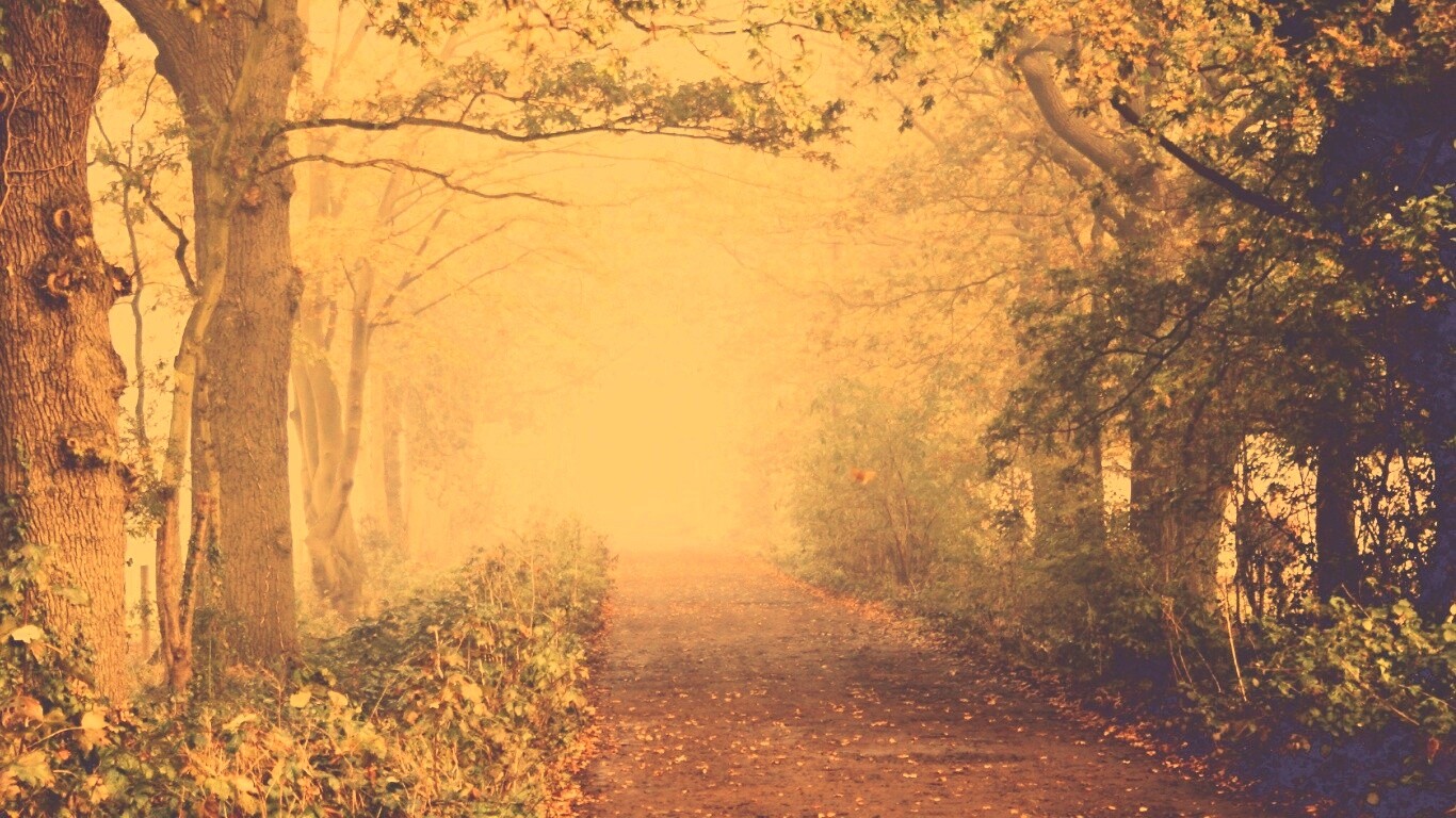 Парковая дорожка обои