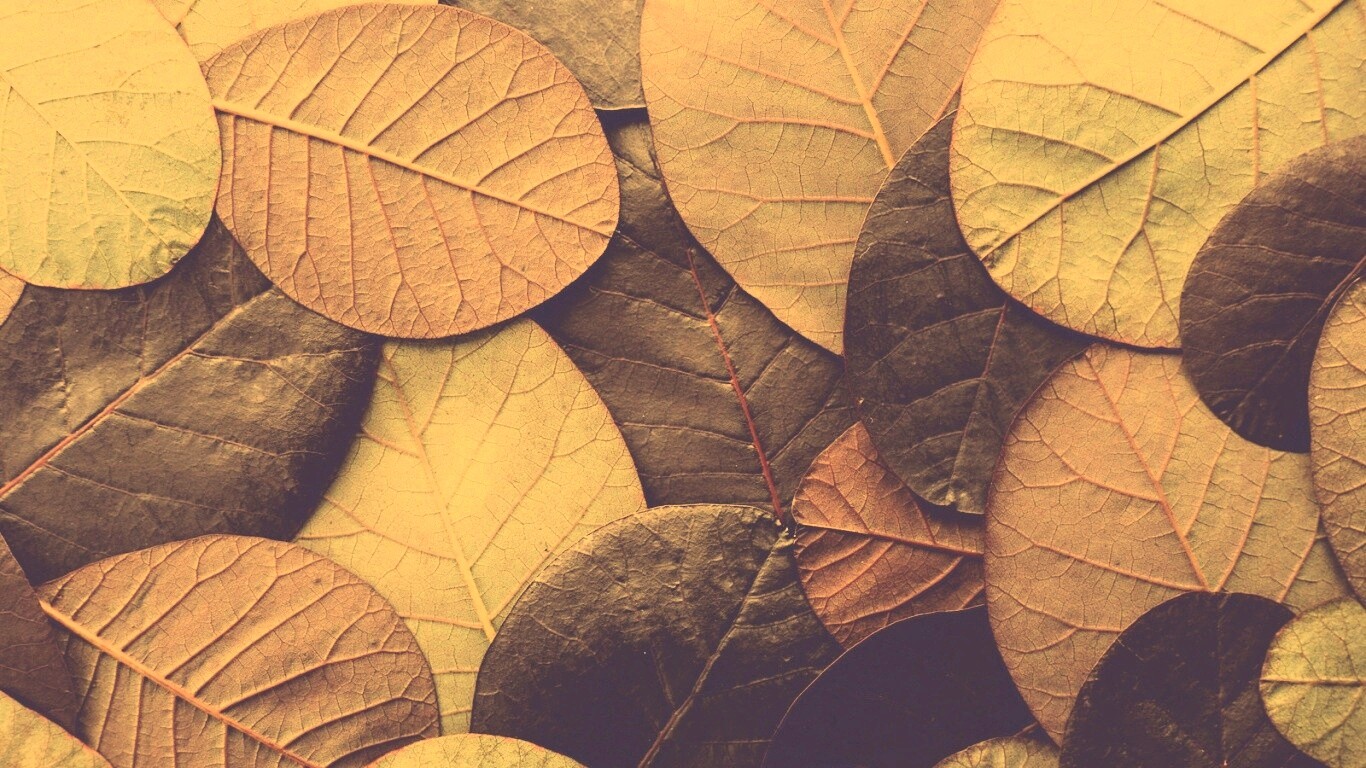 Лиственный узор обои