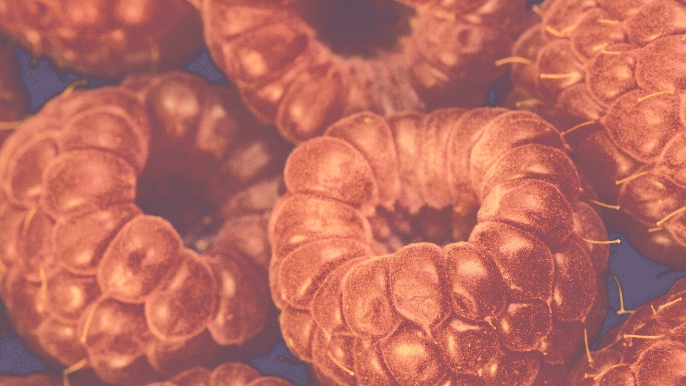 Вкусная малина обои