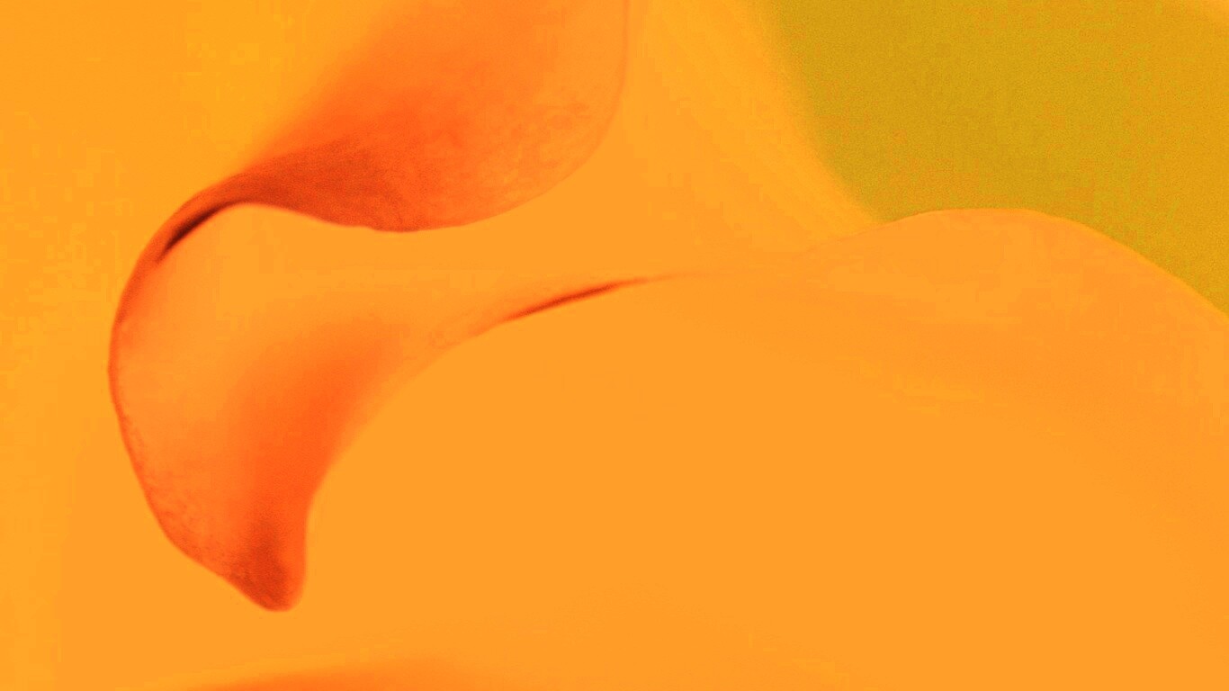 Оттенки природы обои