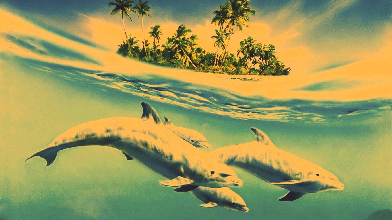 Остров дельфинов обои
