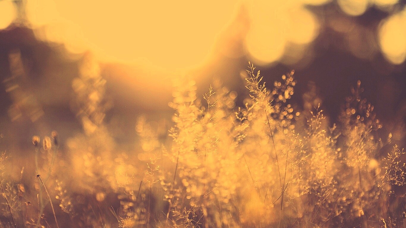 Посмотри на этот мир обои