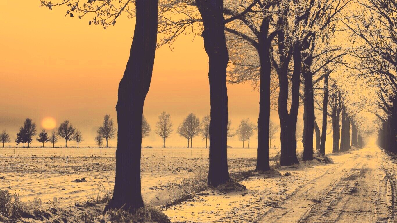 Морозное утро обои