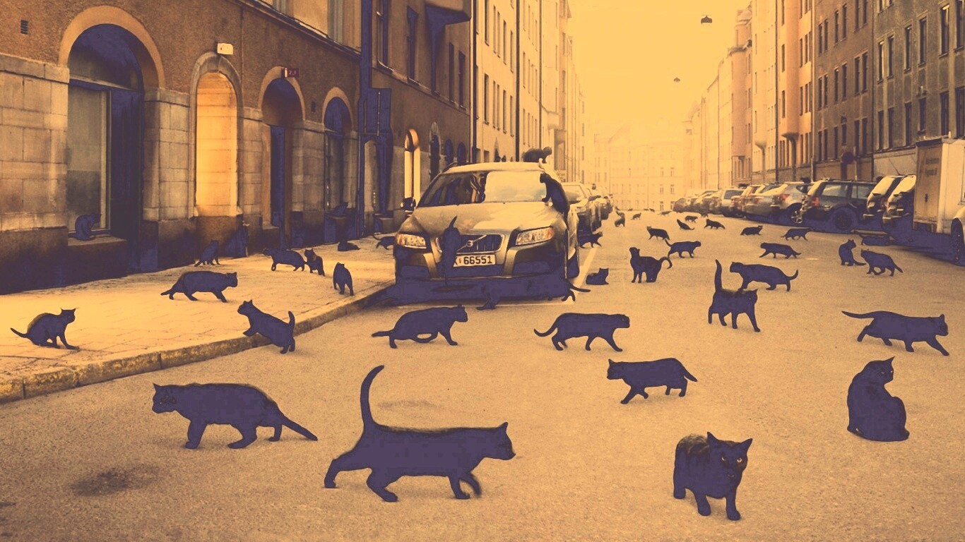 Город кошек обои
