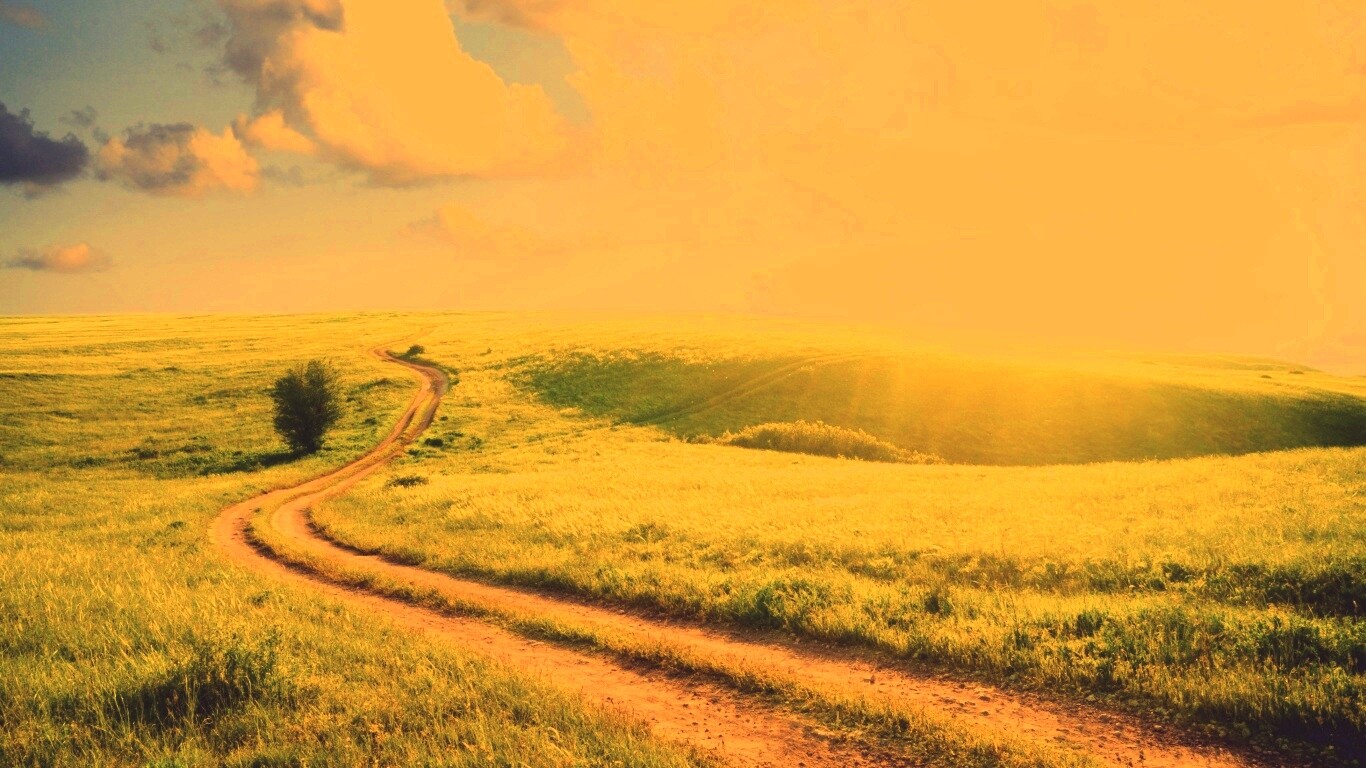 Дорога через луг обои