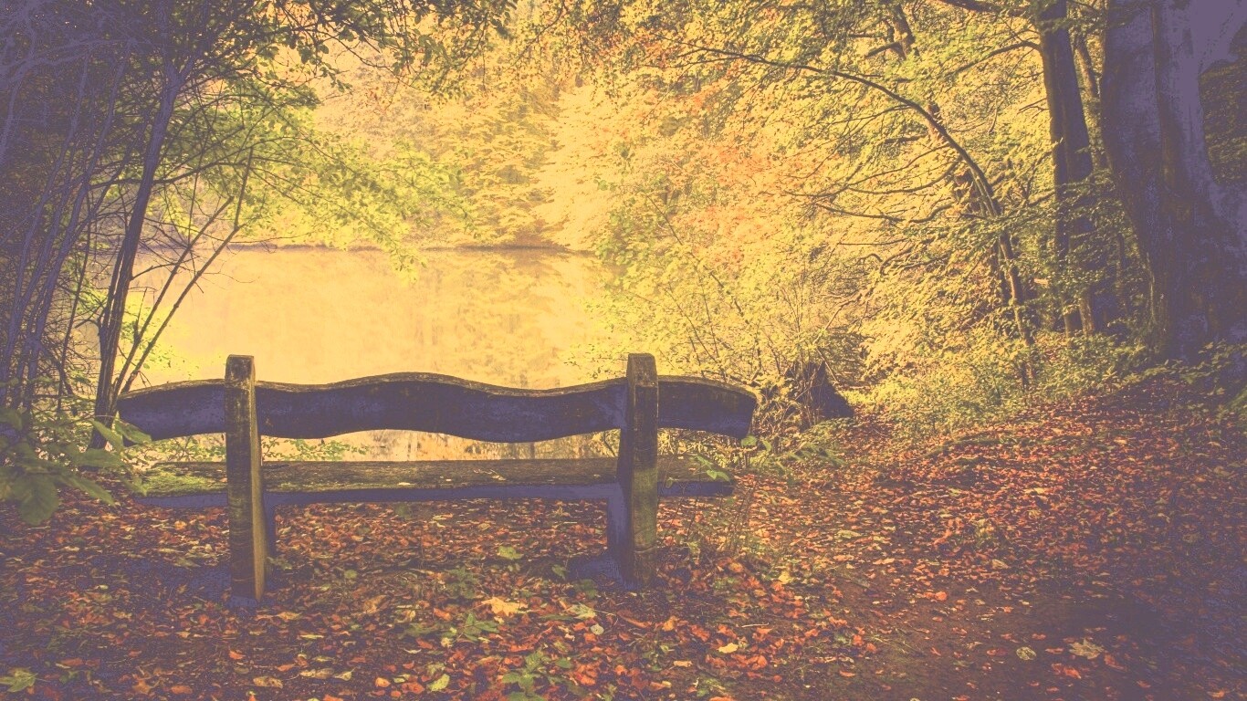 Скамейка в лесу обои