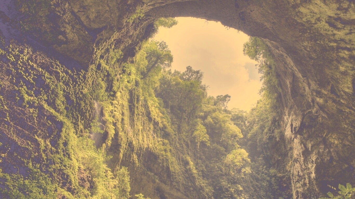 Заросшее ущелье обои