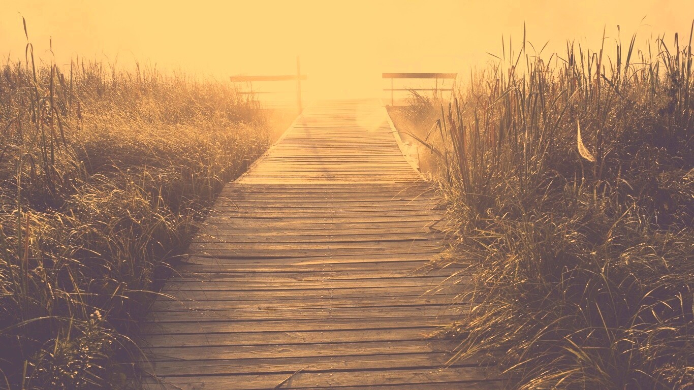 Выход к реке обои