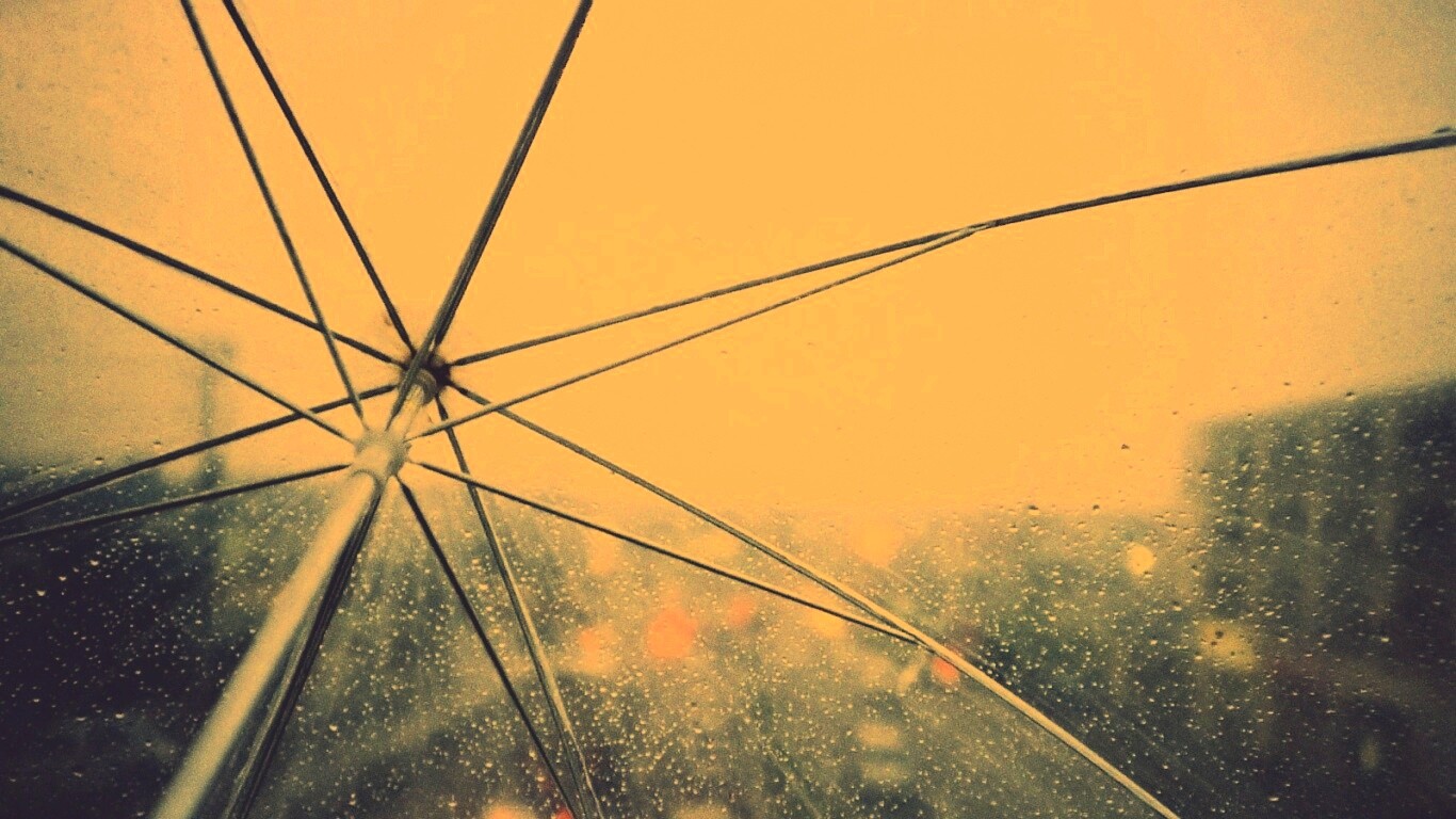 Вид сквозь прозрачный зонтик обои