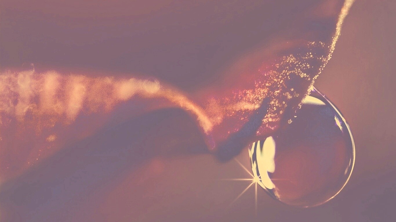 Макро капля на лепестке обои