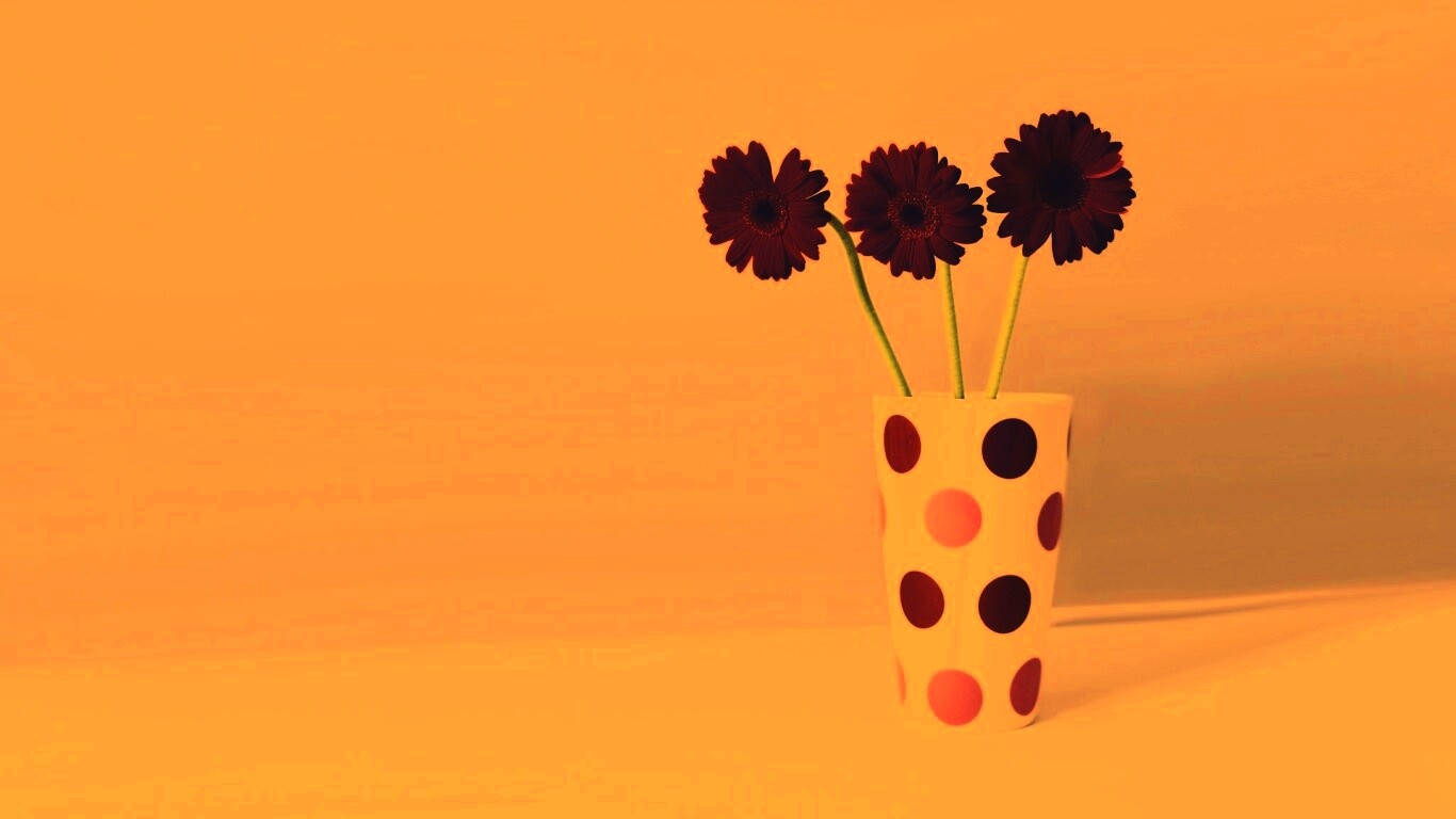 Вазочка с тремя красными герберами обои