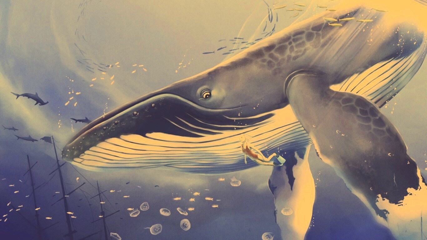 Кит и девушка обои