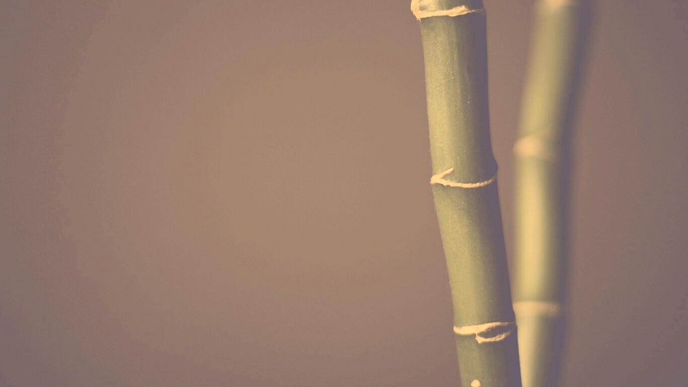 Макро фото стебля бамбука обои