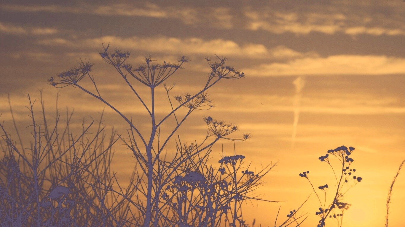 Степной закат обои