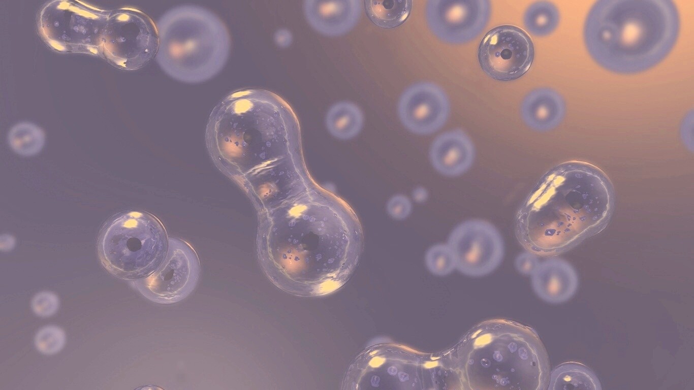 Деление обои