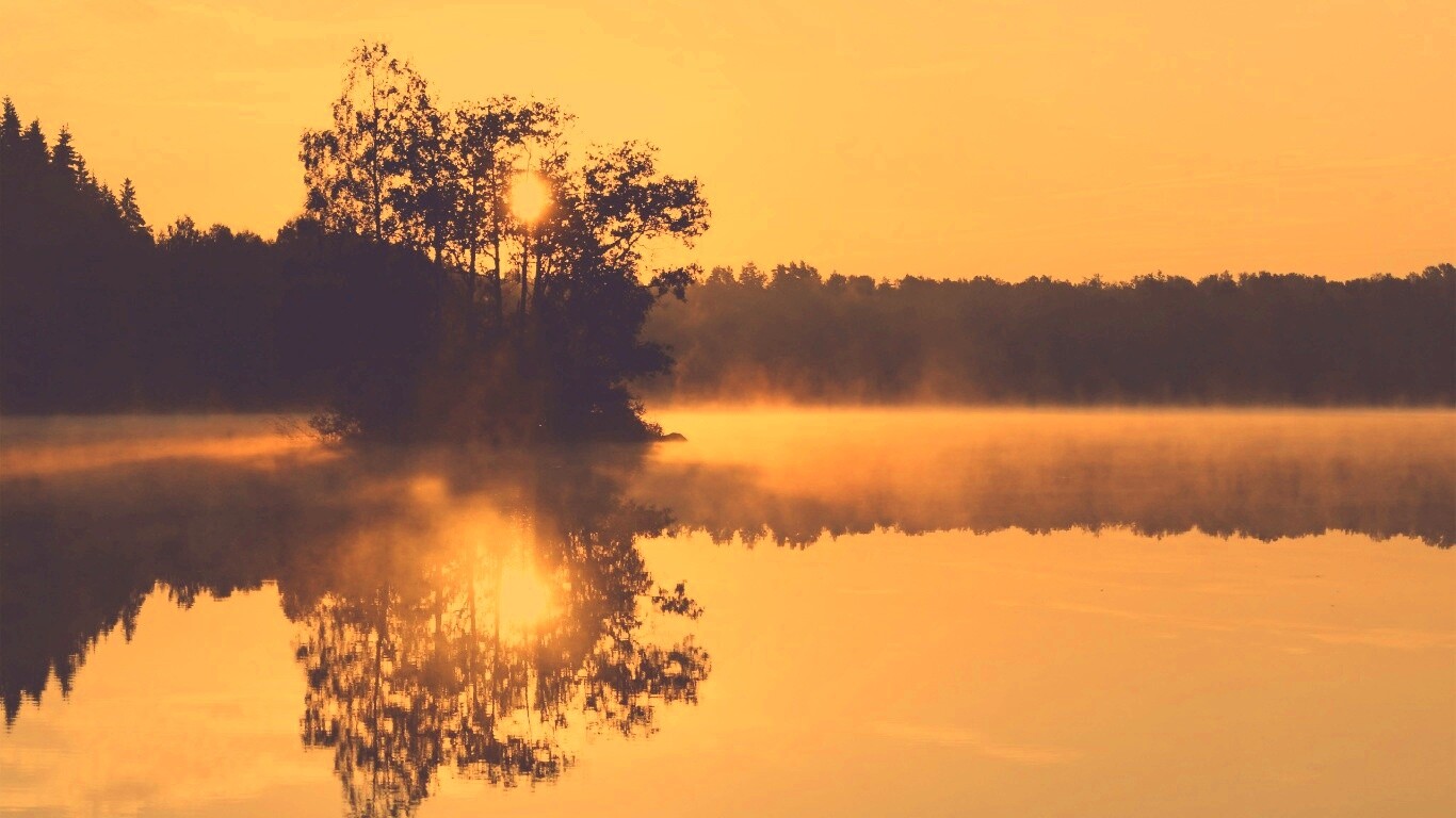 Туманное утро обои