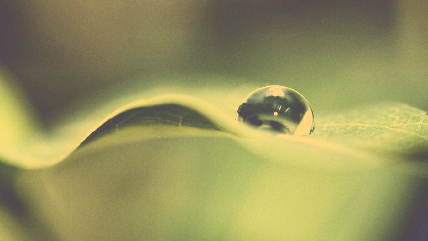 Фотография капли воды в макро обои