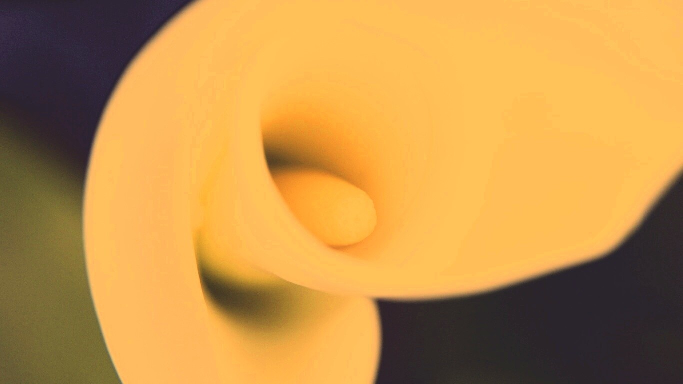 Спираль обои