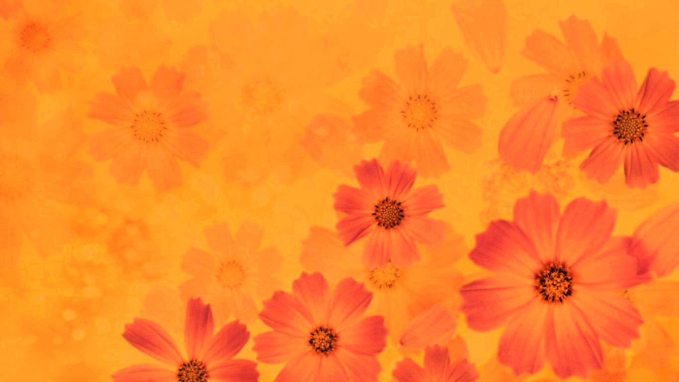 Цветочки обои