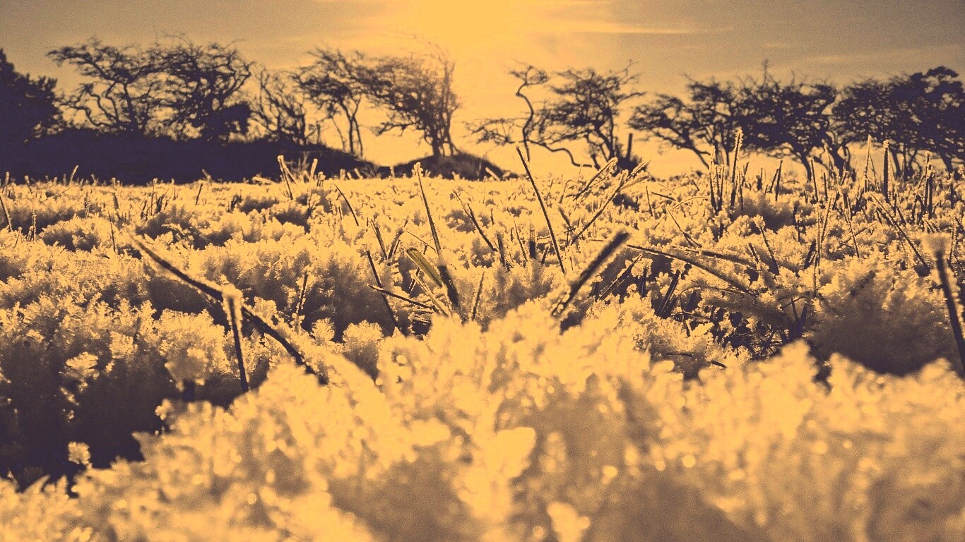 Утренний мороз обои