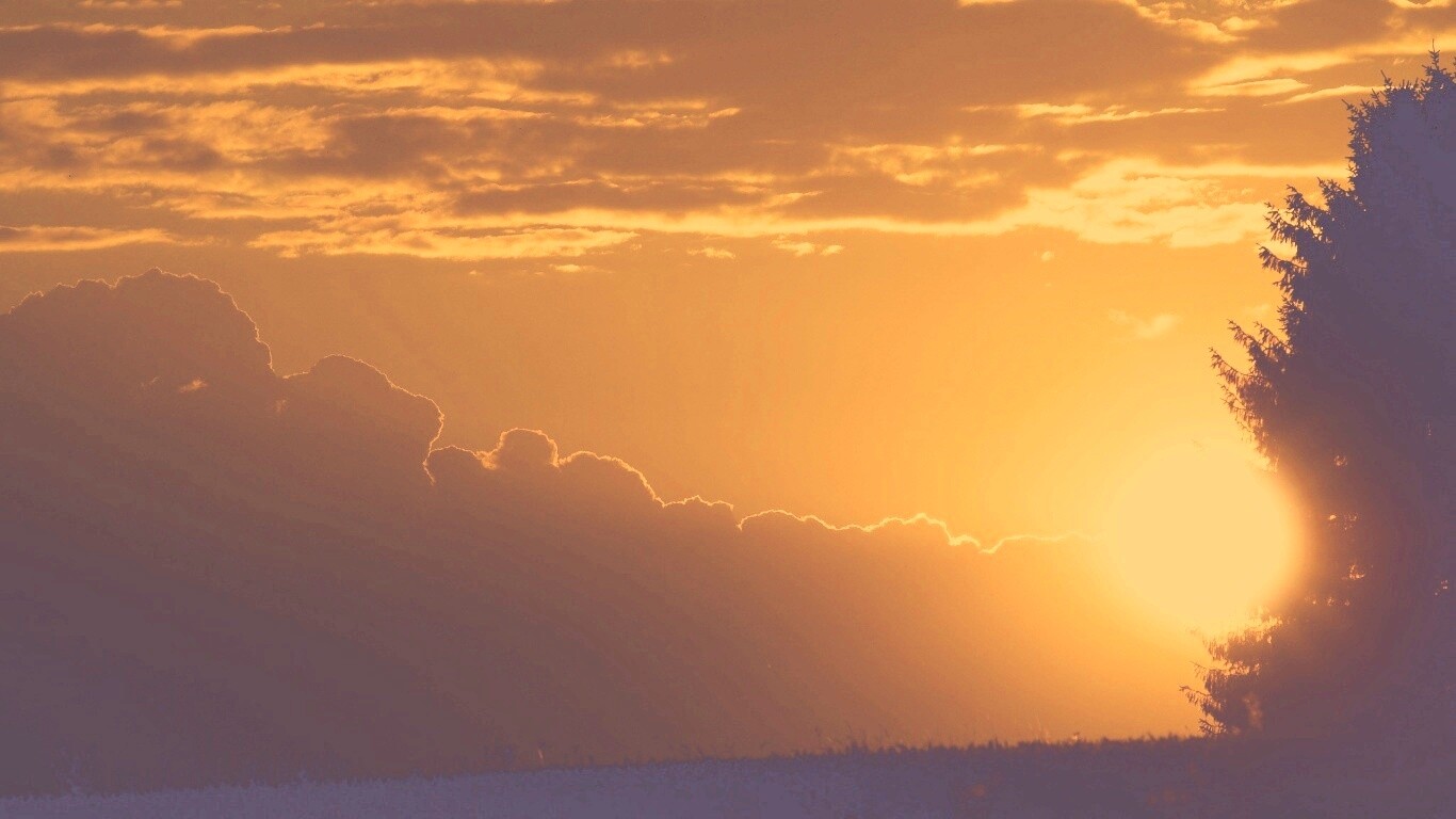 Теплый закат над полем обои